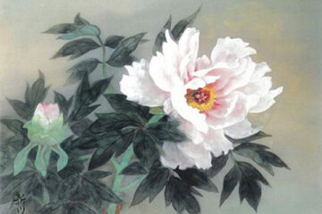 西野新川「牡丹」